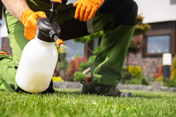 Best Ant Control Services  in Monticello, MN
