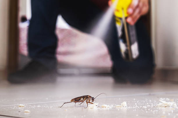 Best Wildlife Control Services  in Monticello, MN